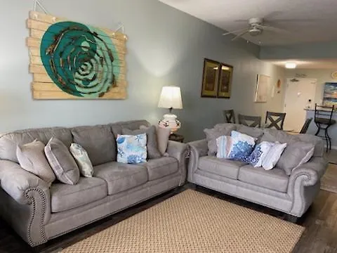 Navy Cove Harbor 1206 By Collection *